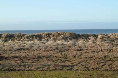 Objekt 38 || Nieblum