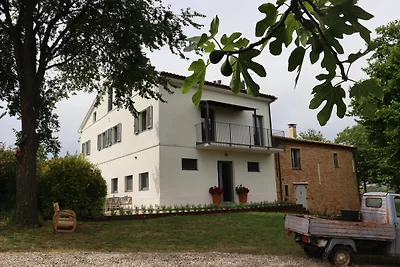 Bellissimo appartamento con piscina