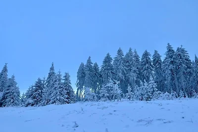 Soggiorno con camino e vista