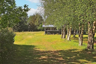 6 persoons vakantie huis in Højslev