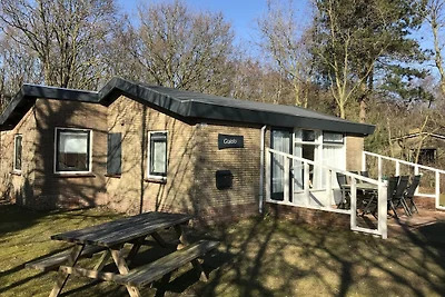 Lauschiges Ferienhaus in Ballum mit Terrasse