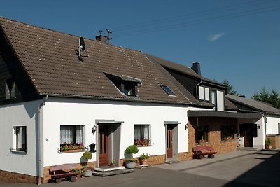 Modernes Ferienhaus in Hellenthal mit Sauna