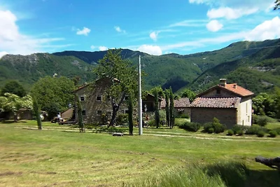 Ferienhaus in San Godenzo mit Garten