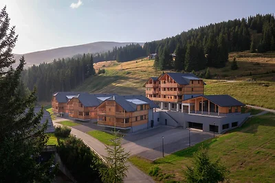 Wohnung in Oberwölz nahe Skipiste