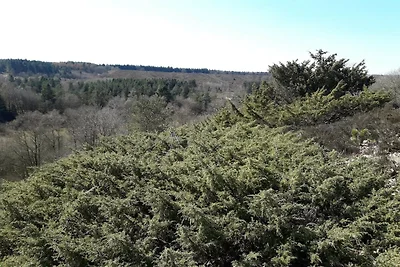 6 persone case ad Silkeborg-By Traum