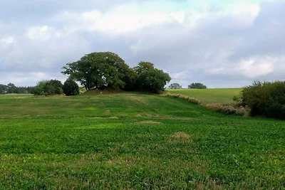 Zeezicht Idylle in Svaneke -- By Traum...