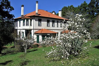 Schöne Villa in Santo António da Serra mit...
