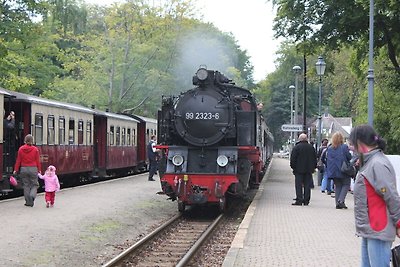 Gemütliche Wohnung in Kröpelin in Meeresnähe