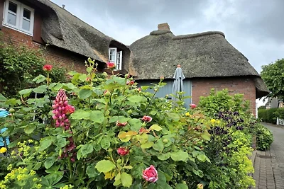 Ferienhaus mit 3 Schlafzimmer