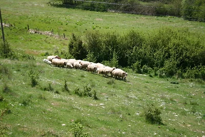 Splendido agriturismo a Passignano con...