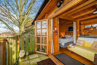 Huisdiervriendelijk chalet in Surlingham, Gee...