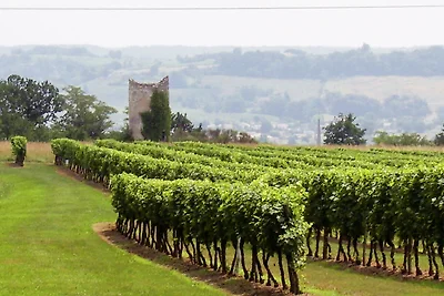 Dintorni (estate) (1-5 km) Dintorni (estate) (1-5 km)