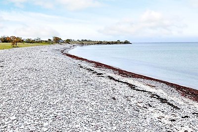 4 Sterne Ferienhaus in BORGHOLM