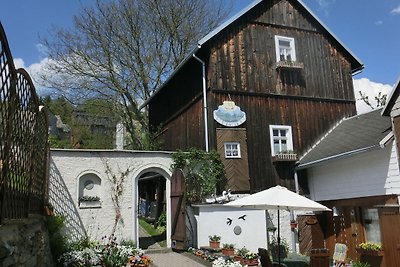 Appartement in het Thüringer Woud met tuin