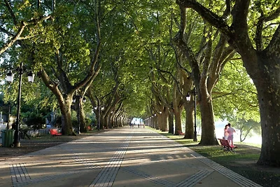 Accogliente palazzo a Ponte de Lima con...