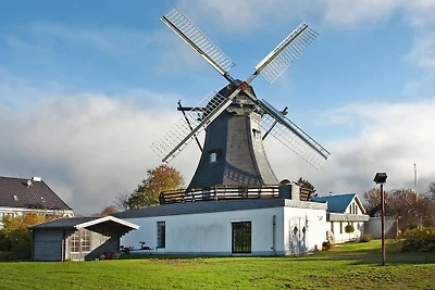Mühle in Medelby