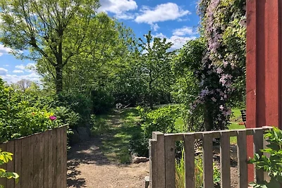 Apfelgarten Usedom