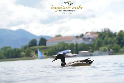 Ihre Ferienwohnung bayrisch mehr