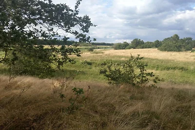 10 Personen Ferienhaus in Fårvang-By Traum