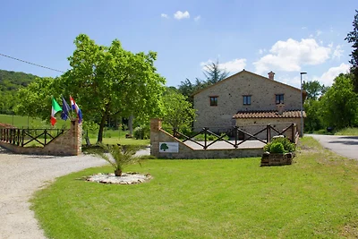 Modernes Ferienhaus mit Garten