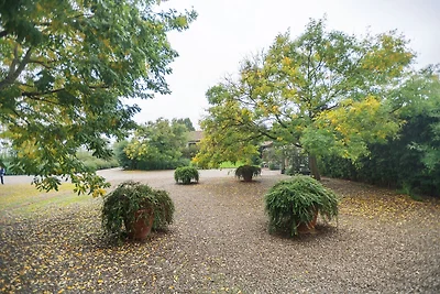 Uriges Appartement mit Garten in Stagno...