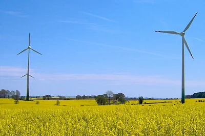 4 Personen Ferienhaus in GROEMITZ