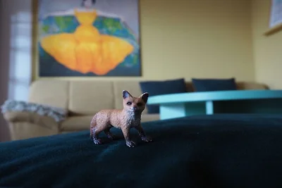 Im Fox Grove || Weilmünster