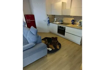 Holiday apartment with 1 bedroom