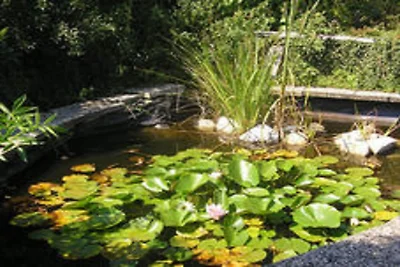 Wohnung in Silbecke mit Garten