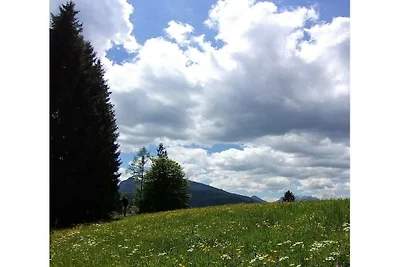 Nr. 6 / Zahmer Kaiser