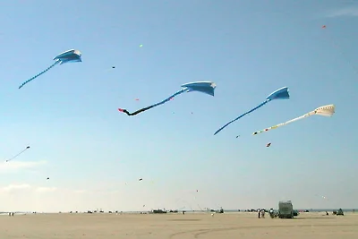 4 osob apartament w Fanø-By Traum