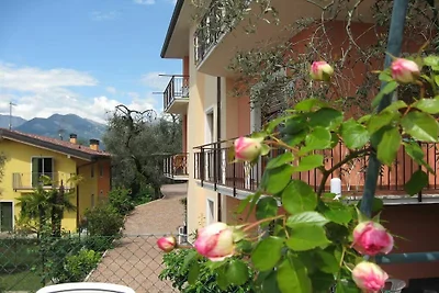 Stella Apartment