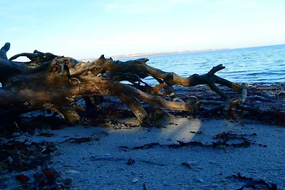 4 Personen Ferienhaus in Haderslev-By Traum