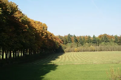 Ruhiges Bauernhaus in Doorn in der Nähe des...