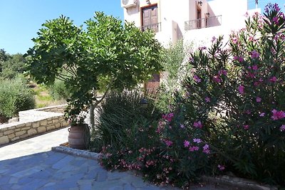 Charmante Villa in Axos Kreta mit...