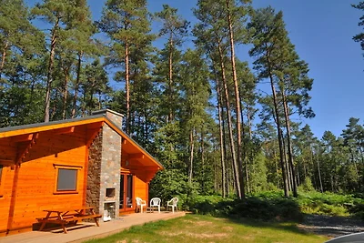 Chalet in legno con stufa a legna