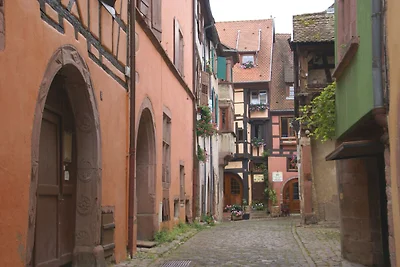 Bellissimo appartamento a Riquewihr
