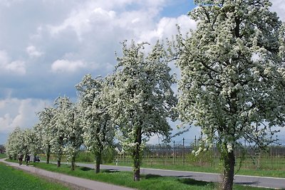 Caratteristico appartamento in Turingia con...