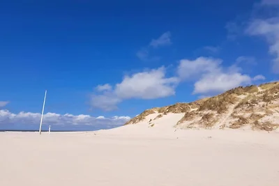 5 Sterne Ferienhaus in Henne-By Traum