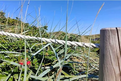 4 Sterne Ferienhaus in Ringkøbing