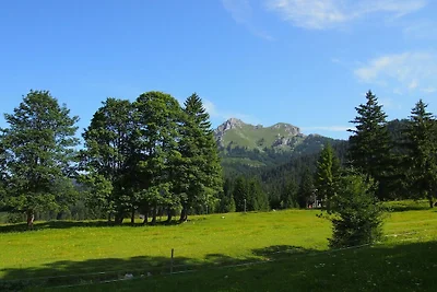 Vakantieappartement in Grän met zwembad