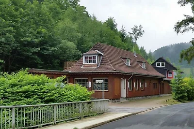 Wohnung mit Stellplatz in Wildemann