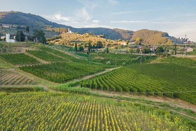 Villa in Lucca mit Weingut und Aussicht