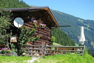 Quaint Mountain Hut in Hippach with Garden an...
