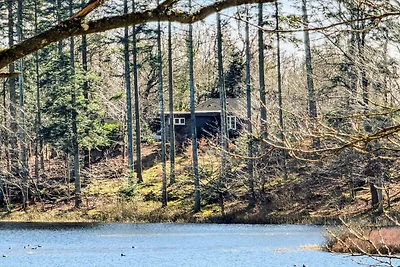 4 Personen Ferienhaus in Aars-By Traum