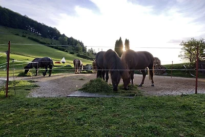 Ferienwohnung mit 2 Schlafzimmer