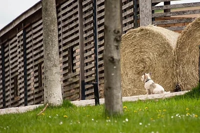 Designerappartement in Großharthau