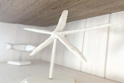 Ruim appartement met zeezicht