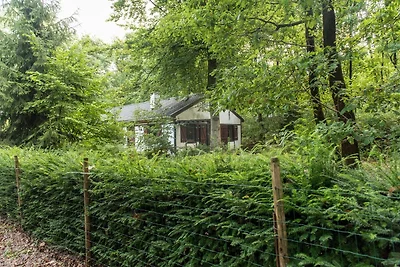 Charmante vakantiewoning in de Ardennen voor ...