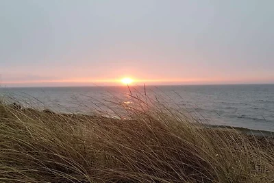 8 Personen Ferienhaus in Frøstrup-By Traum